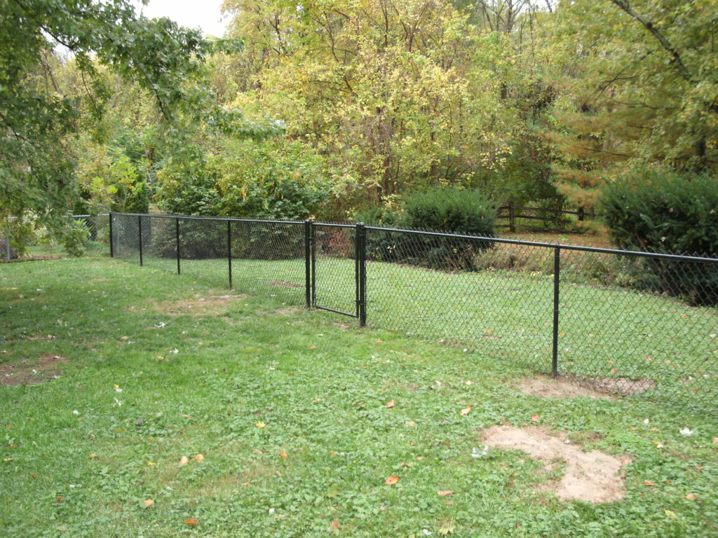chain link fence in a yard
